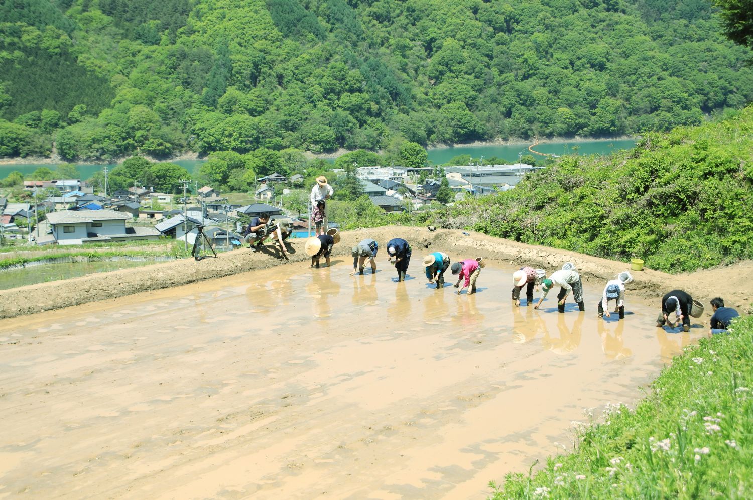 Theme Rice Farm 米づくりへの取り組み